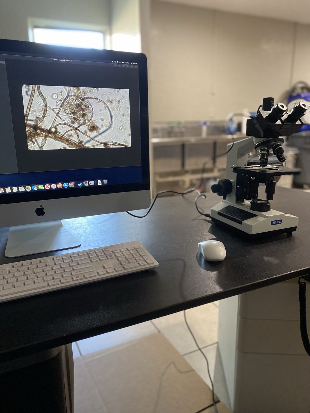 Microscope station used for observing soil biology